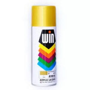 WIN Aerosol Spray Paint